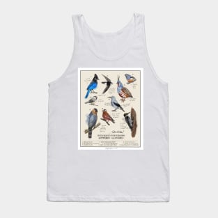 High Elevation Birding Tank Top